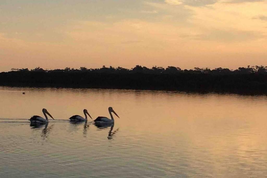 That Seaside Cottage - Fully Equipped Home, 4 Bedrooms On The Foreshore Tooradin Luaran gambar
