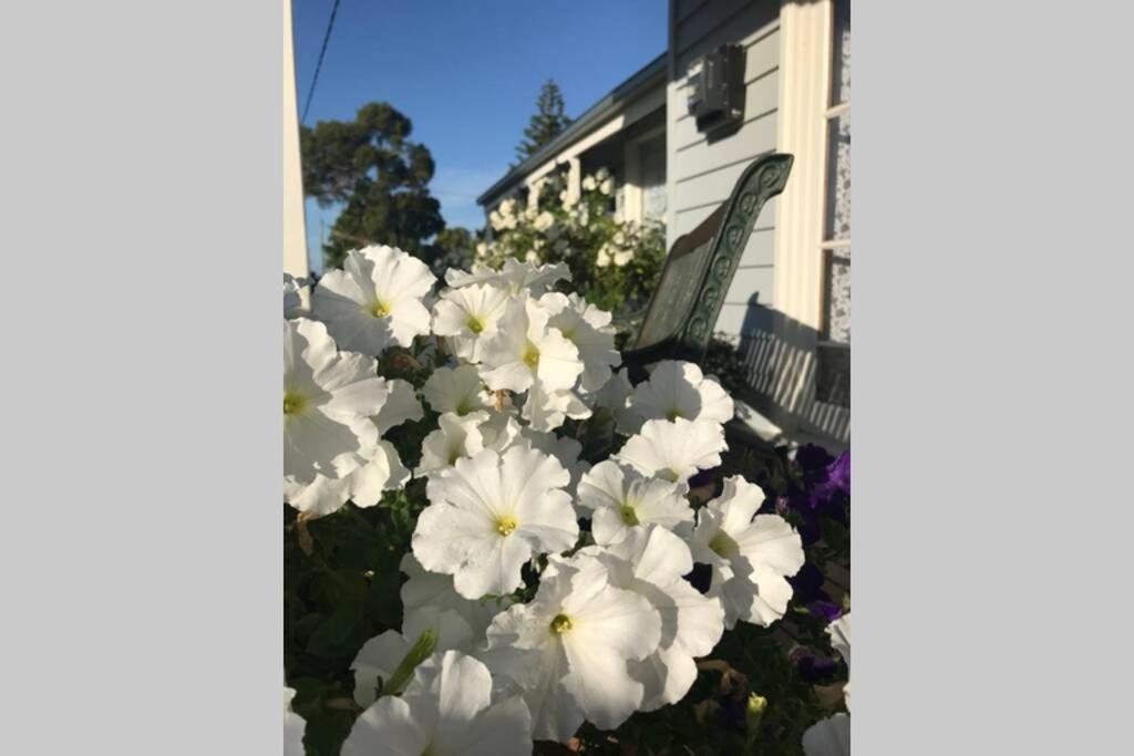 That Seaside Cottage - Fully Equipped Home, 4 Bedrooms On The Foreshore Tooradin Luaran gambar